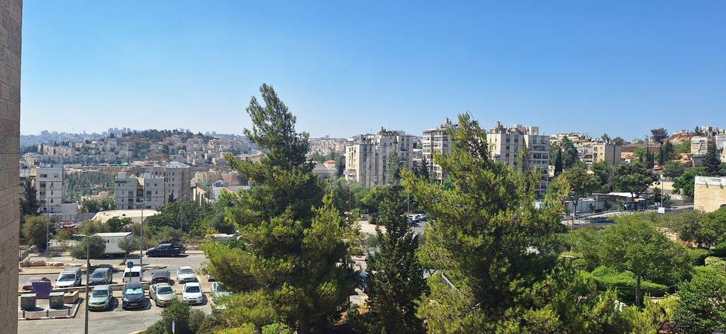 ויקטור ויוליוס 