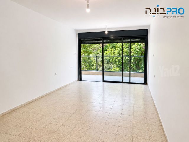 ברנדייס 
