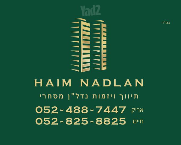 תלפיות