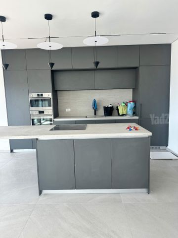 רמת אביב ג'