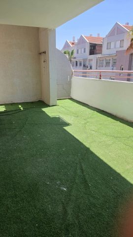 אירוס הארגמן 28
