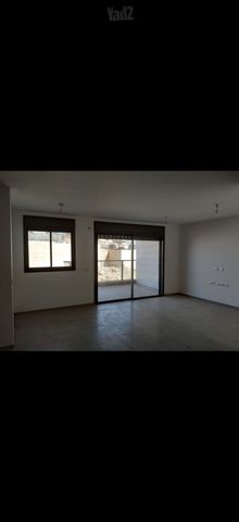 לוטם 29