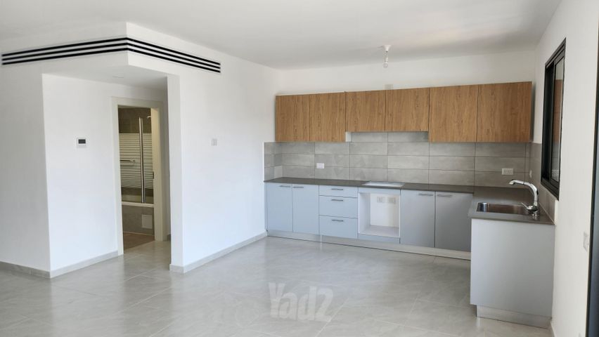 אסתר ארדיטי 14