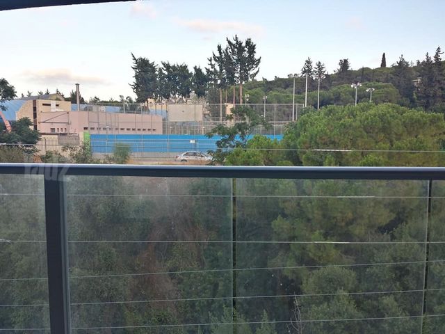 אריה לובה אליאב 20
