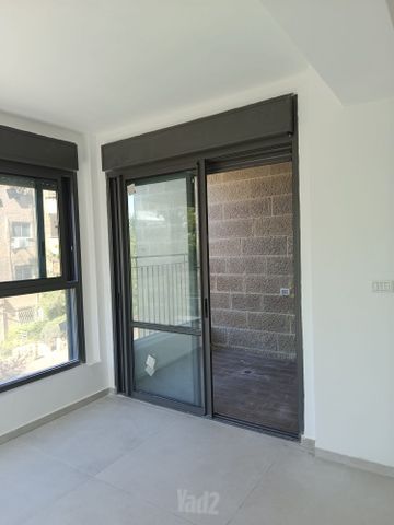 הארזים 5