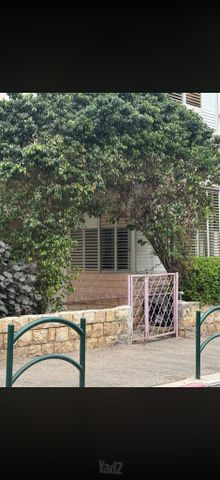 תל חי 11