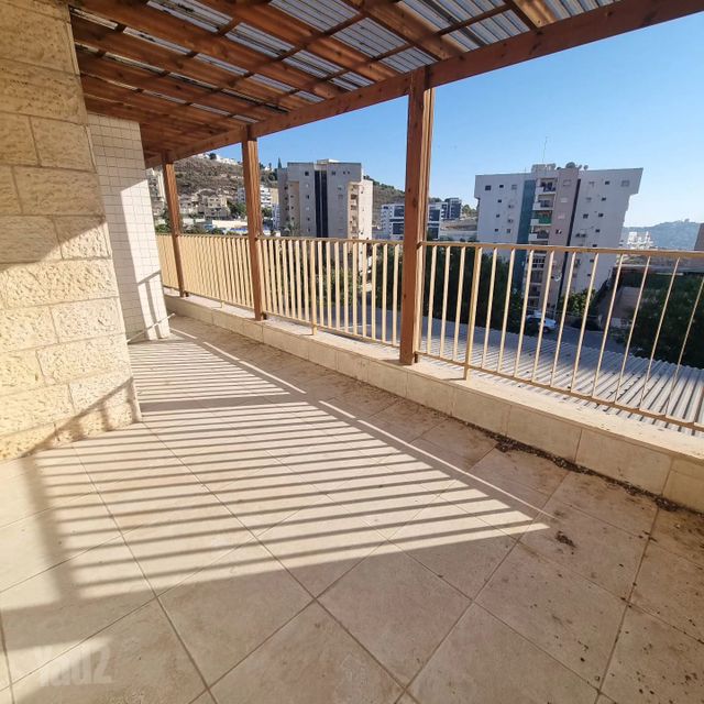רותם 8