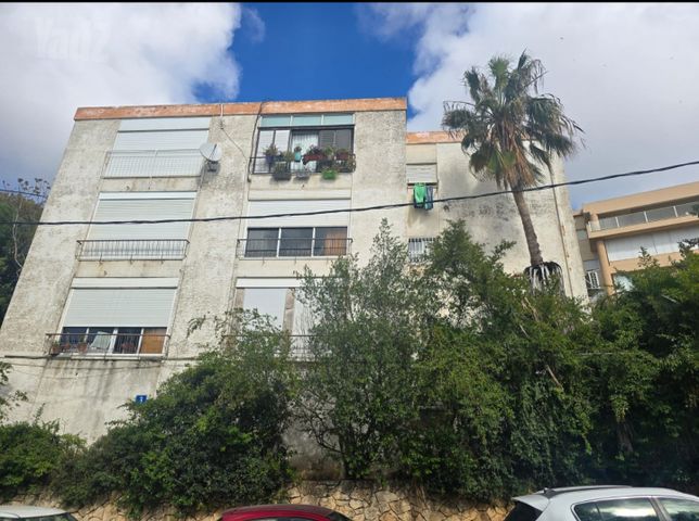 מרגלית 