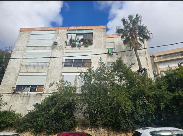מרגלית 