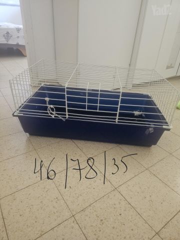תמונת מודעה - חיות מחמד