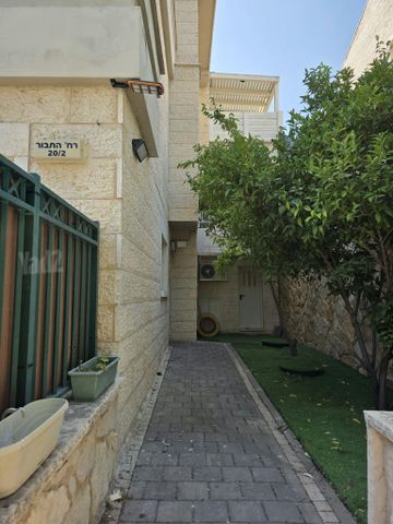 התבור 20
