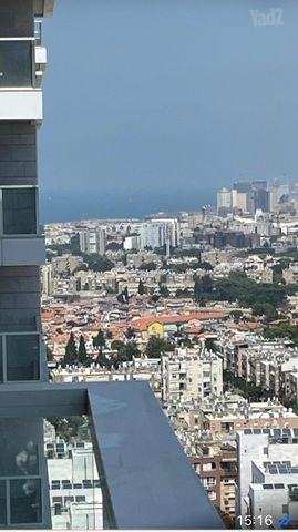 שאול הדדי 4