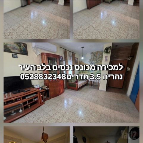 יוסף לוי 