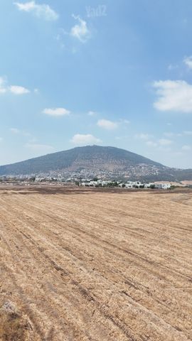 מגרשים