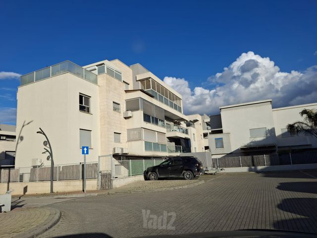 כנרת 10