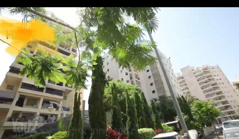 אילונה פהר 11
