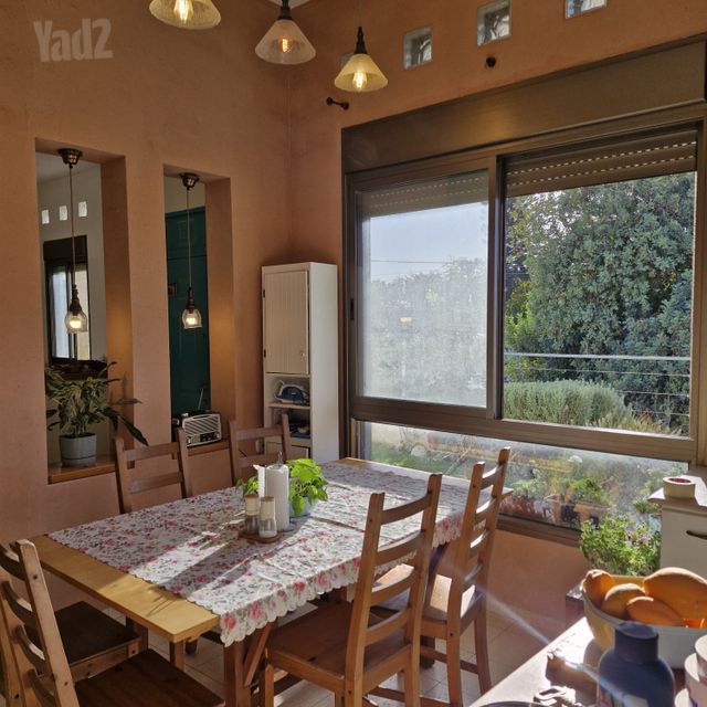 הגפן 47