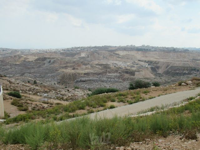 אהבת אמת 11