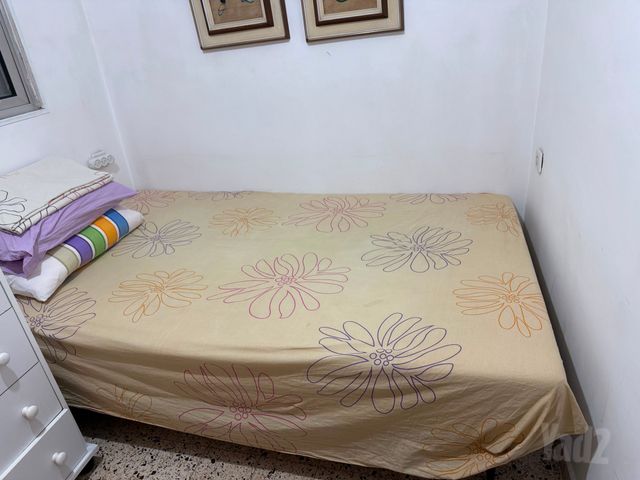 החשמונאים 15