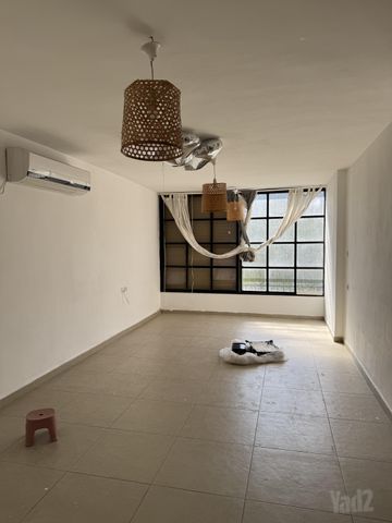 מאיר ויניק 26