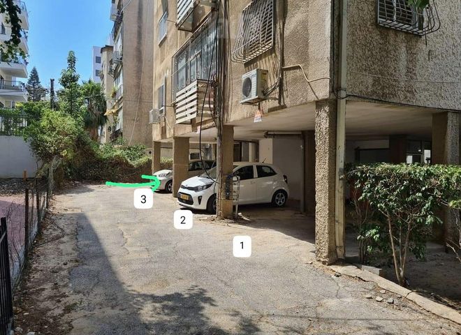 ש. בן ציון 2