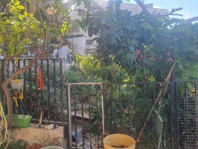 Haifa, Israel 3