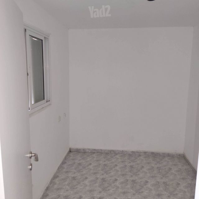 קני סוף 4