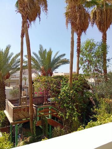 הנץ 111