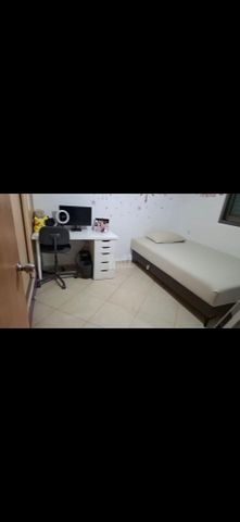 אריה בן אליעזר 8