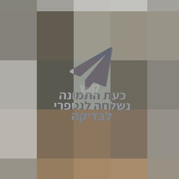 אחד העם 3