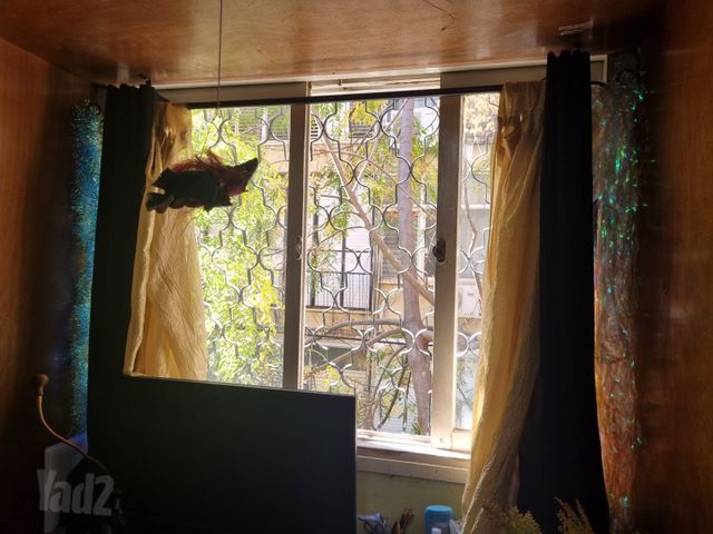 קריניצי 10