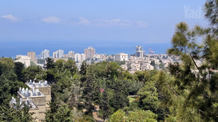 יהודה בורלא 26