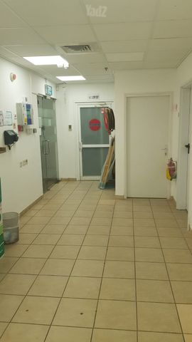 שארית ישראל 37