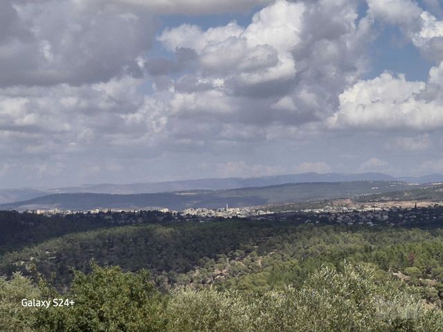 מגרשים