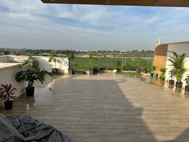 האסיף 