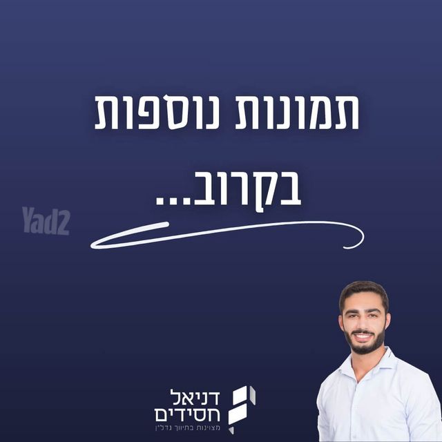 הצפירה 