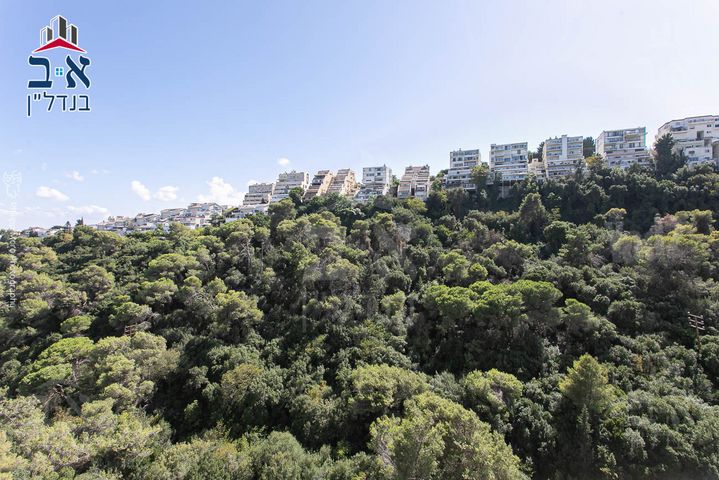 כרמל מרכזי - שד' קיש