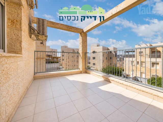 שלמה באום 