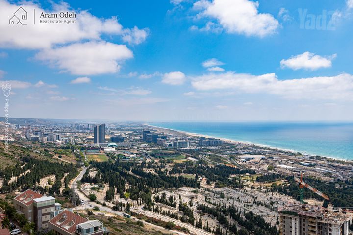 לבונה 13