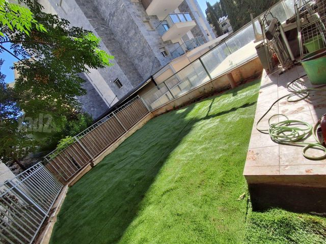 חביבה רייק 15