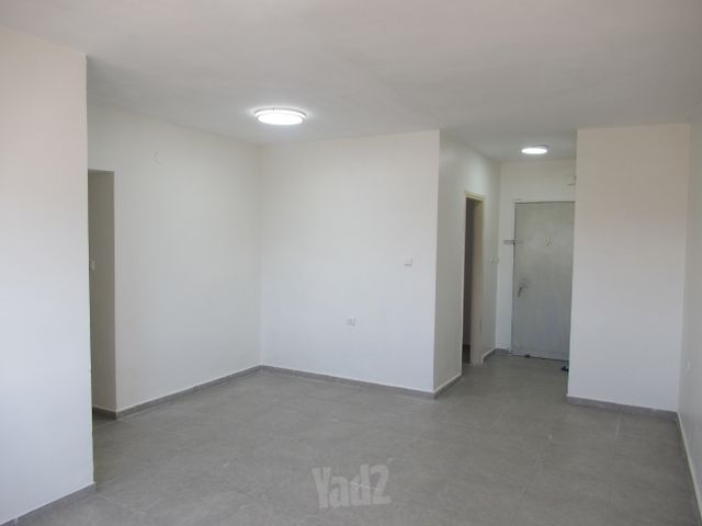 דוד אלעזר 213