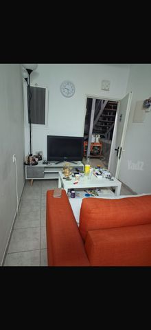 התמר 24