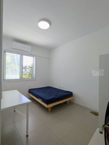 שאול 24