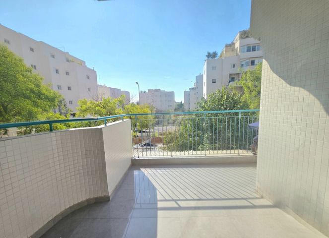 העסיס