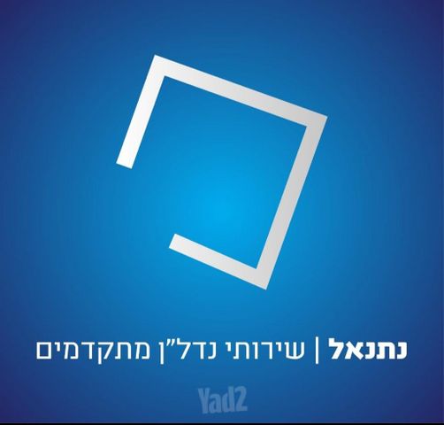 דירה, ארגמן, נס ציונה