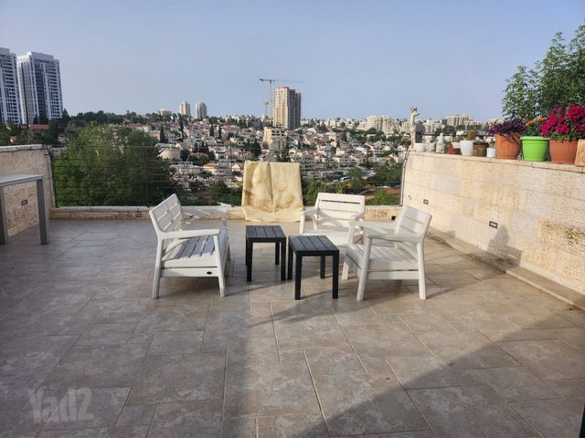 הכלנית 