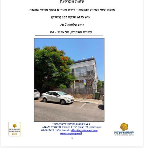 פלוגות 7