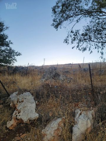 נוף ההר 36