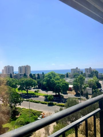 דירה, קרית שפרינצק, חיפה
