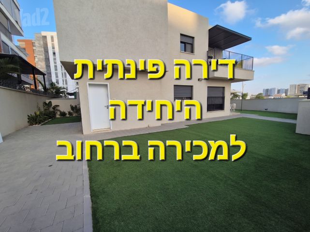 לובה אליאב 25